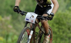 PHOTO GALLERY LIMBC 2012 – PROLOGUE