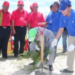 Tradewinds-csr12_001