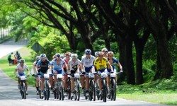 PHOTO GALLERY LIMBC 2012 – STAGE 3
