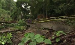 LIMBC 2013 Highlights Day 5 (STAGE 4) LIMBC 2013 Highlights Day 5 (STAGE 4)