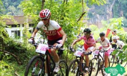 4 Elements To Succeed In A MTB Race 4 Elements To Succeed In A MTB Race