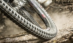 LIMBC MTB 101 : MOUNTAIN BIKE TYRE LIMBC MTB 101 : MOUNTAIN BIKE TYRE
